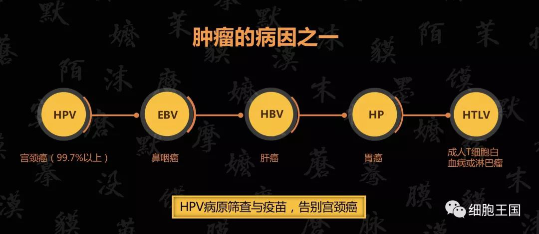 1528795463305599.png 图片12.png